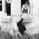 Image for article titled America Has Been Bonkers About Royal Babies for More Than a Century